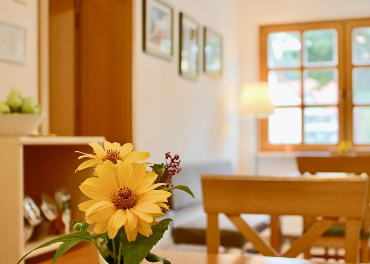 Pension Kurhausblick Bad Suderode Bagian luar foto