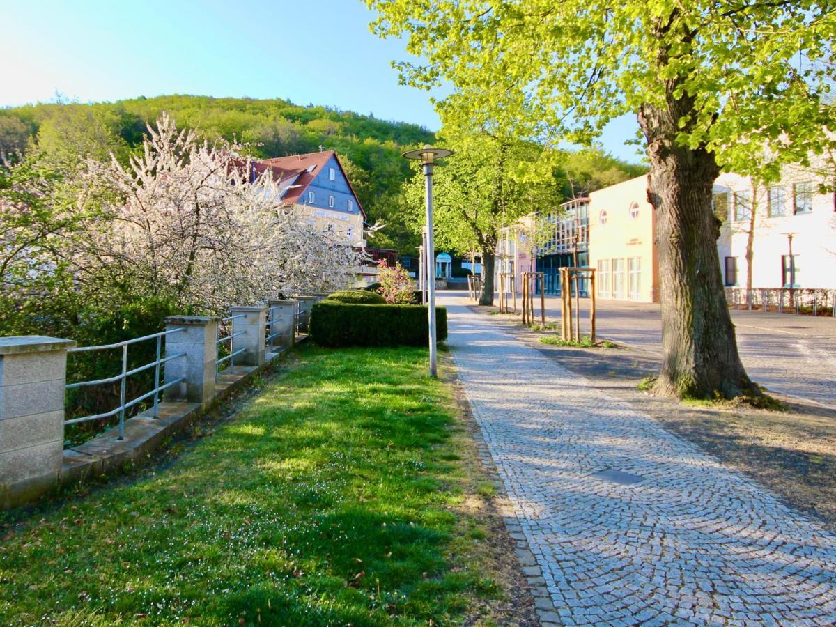 Pension Kurhausblick Bad Suderode Bagian luar foto