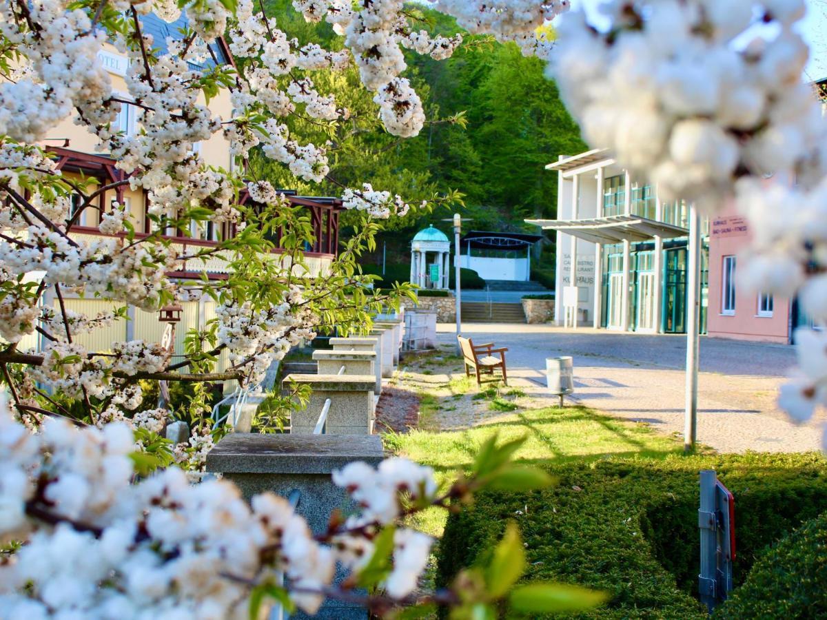 Pension Kurhausblick Bad Suderode Bagian luar foto